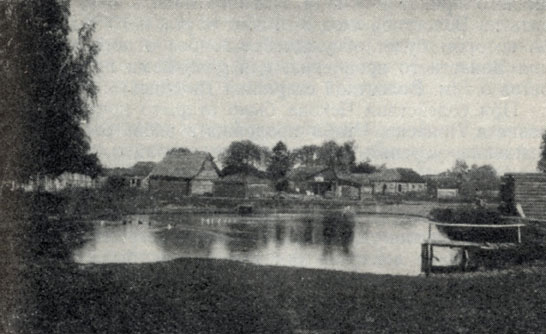 Мелиховский пруд. На переднем плане - площадь, где собирался сельский сход
