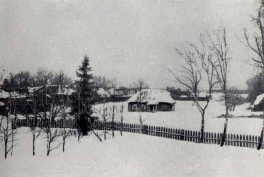 Чеховская усадьба в Мелихове. Фото 1890-х годов